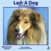 Lad__a_dog