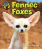 Fennec_foxes