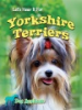 Let_s_hear_it_for_Yorkshire_terriers