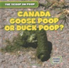 Canada_goose_poop_or_duck_poop_