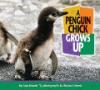 A_penguin_chick_grows_up
