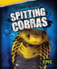 Spitting_cobras