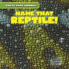 Name_that_reptile_