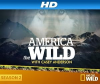 America_the_wild