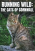Running_Wild__The_Cats_of_Cornwall