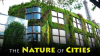 The_nature_of_cities
