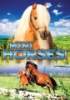 Mini_horses