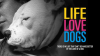Life_Love_Dogs