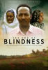 The_end_of_blindness