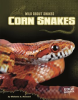 Corn_Snakes