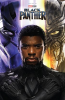The_Art_of_Marvel_Studios__Black_Panther