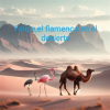 Felipe_el_flamenco_en_el_desierto