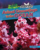 Animal_Camouflage_in_the_Ocean