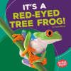 It_s_a_Red-Eyed_Tree_Frog_