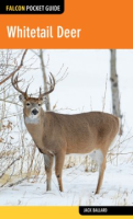 Whitetail_deer