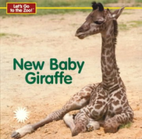 New_baby_giraffe