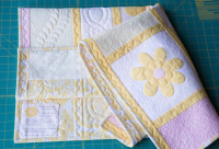 Quilt_Finishing_and_Binding