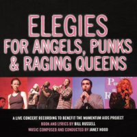 Elegies_For_Angels__Punks___Raging_Queens
