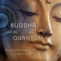 Buddha_and_the_Quantum