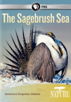 The_sagebrush_sea