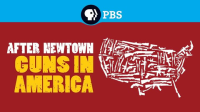 After_Newtown__Guns_in_America