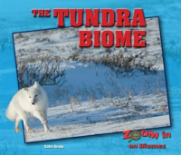 The_Tundra_Biome