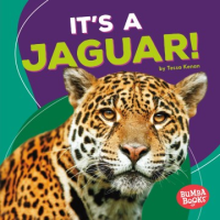 It_s_a_jaguar_