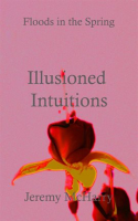 Illusioned_Intuitions