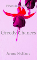 Greedy_Chances